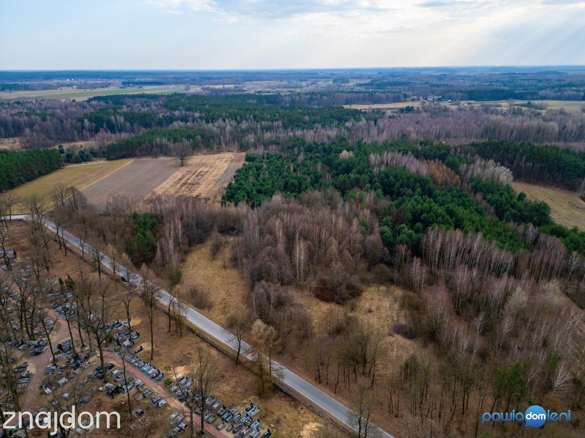 Idealne pod siedlisko lub inwestycję | 1,48 ha | Stromiec - zdjęcie 2