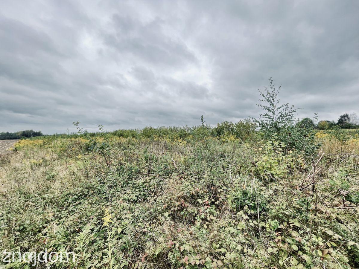 Działki budowlane 1000 m² | WZ + projekt domu - zdjęcie 12