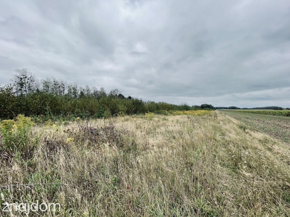 Działki budowlane 1000 m² | WZ + projekt domu - zdjęcie 19