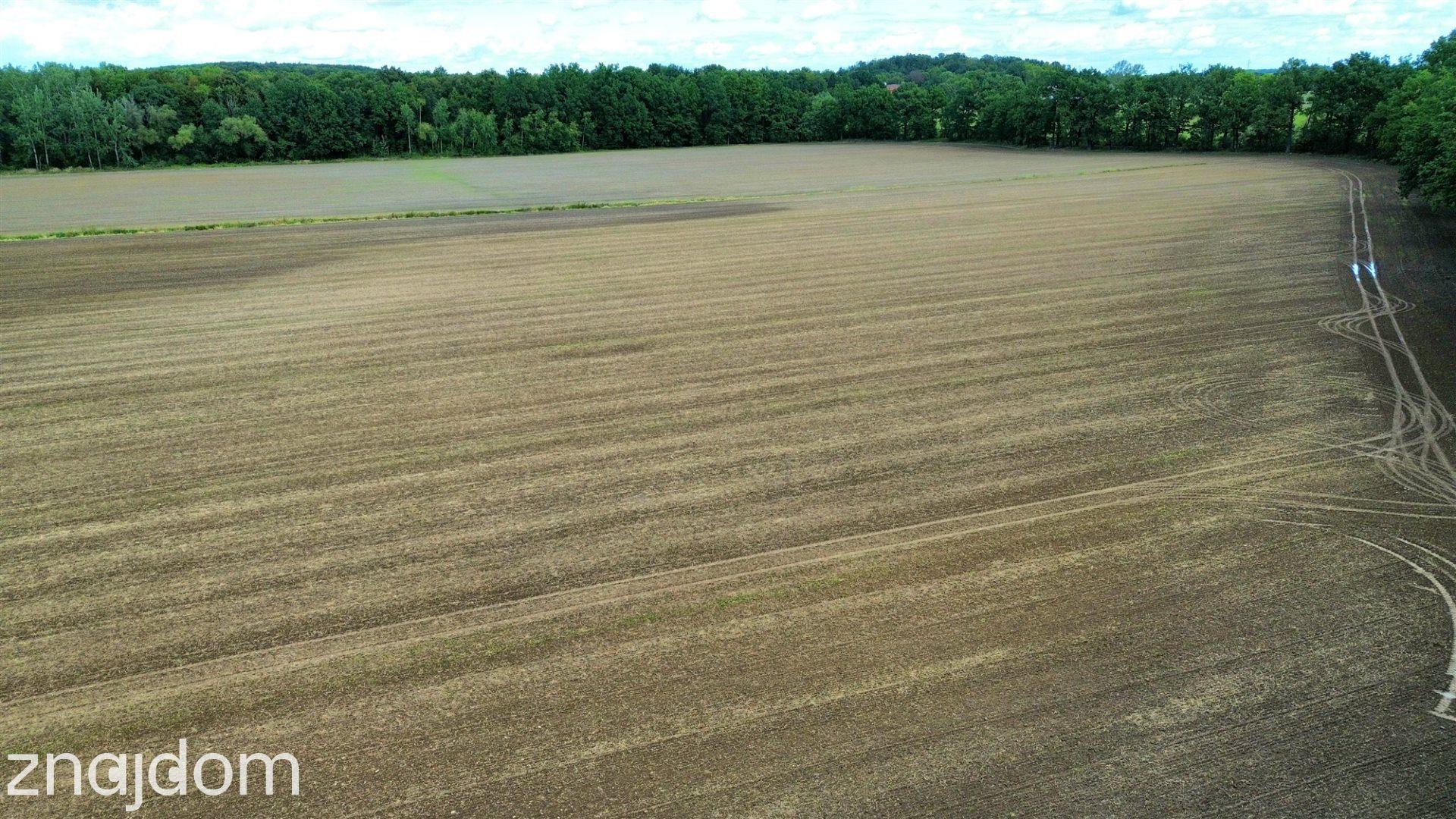 11,15 ha gruntów rolnych | RII–RIIIb | Krasków ! - zdjęcie 10