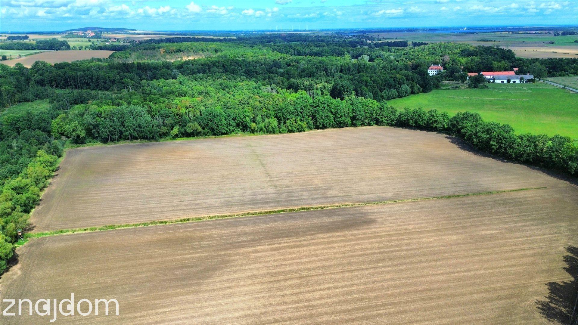 11,15 ha gruntów rolnych | RII–RIIIb | Krasków ! - zdjęcie 11