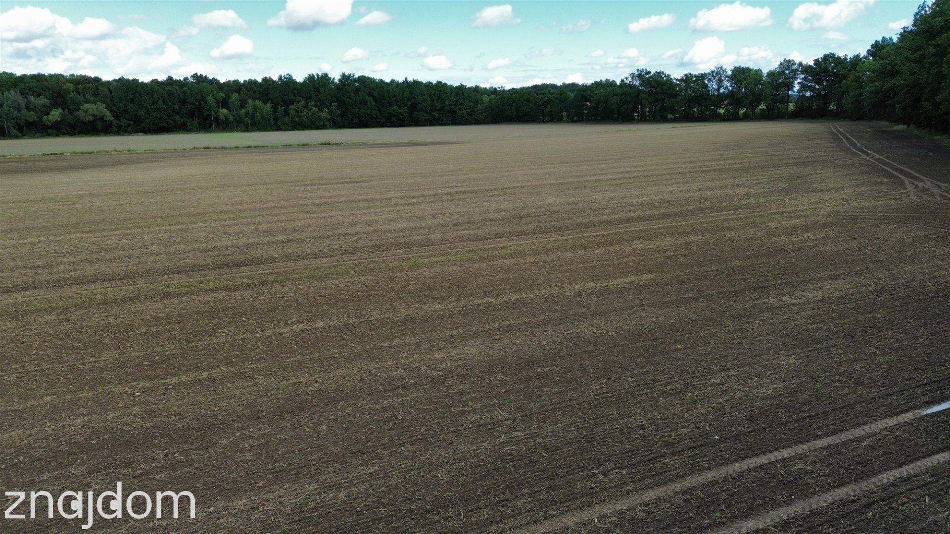 11,15 ha gruntów rolnych | RII–RIIIb | Krasków ! - zdjęcie 12