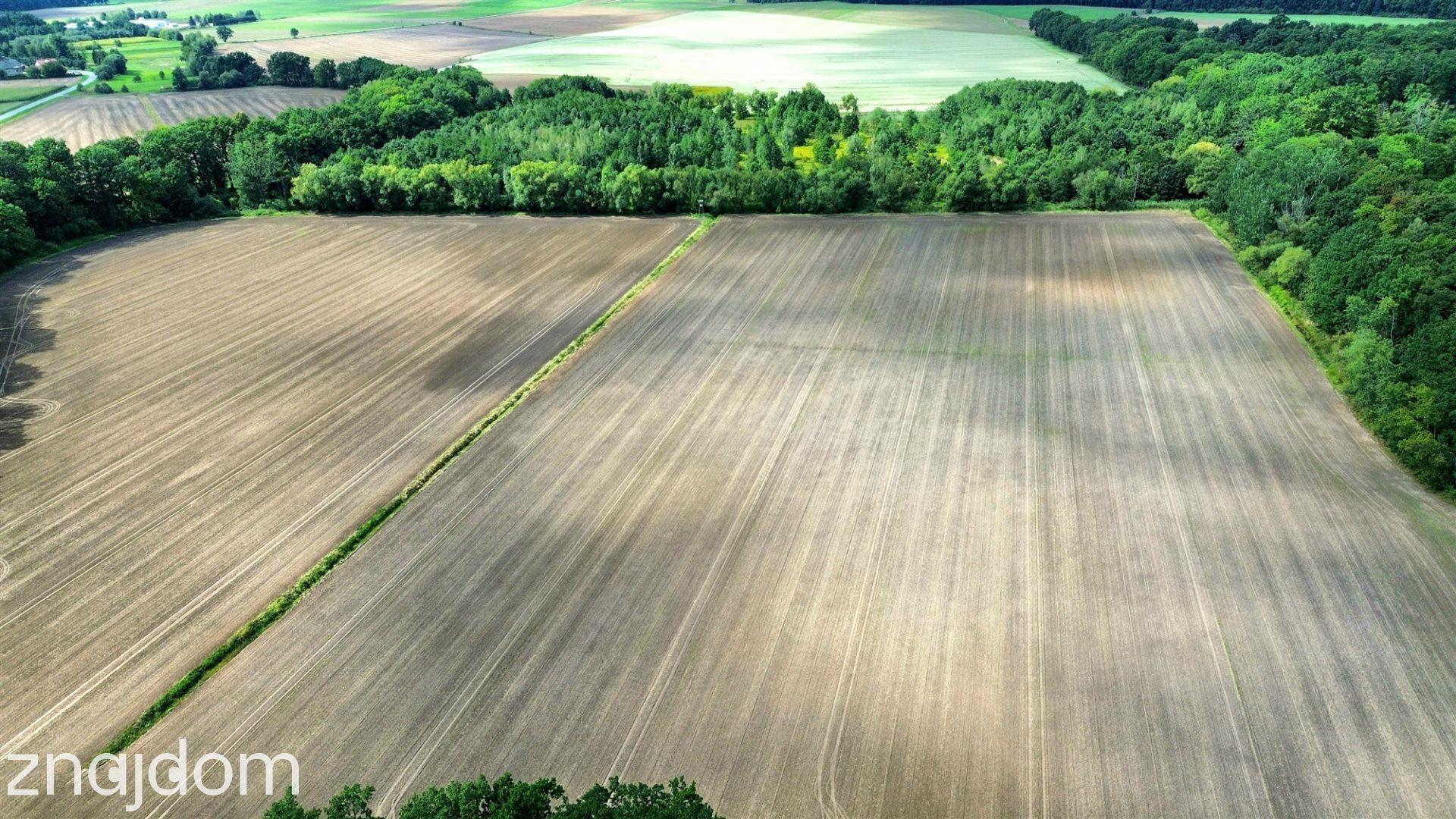 11,15 ha gruntów rolnych | RII–RIIIb | Krasków ! - zdjęcie 14