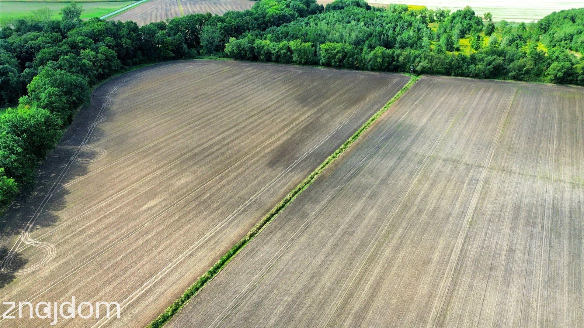 11,15 ha gruntów rolnych | RII–RIIIb | Krasków ! - zdjęcie 16