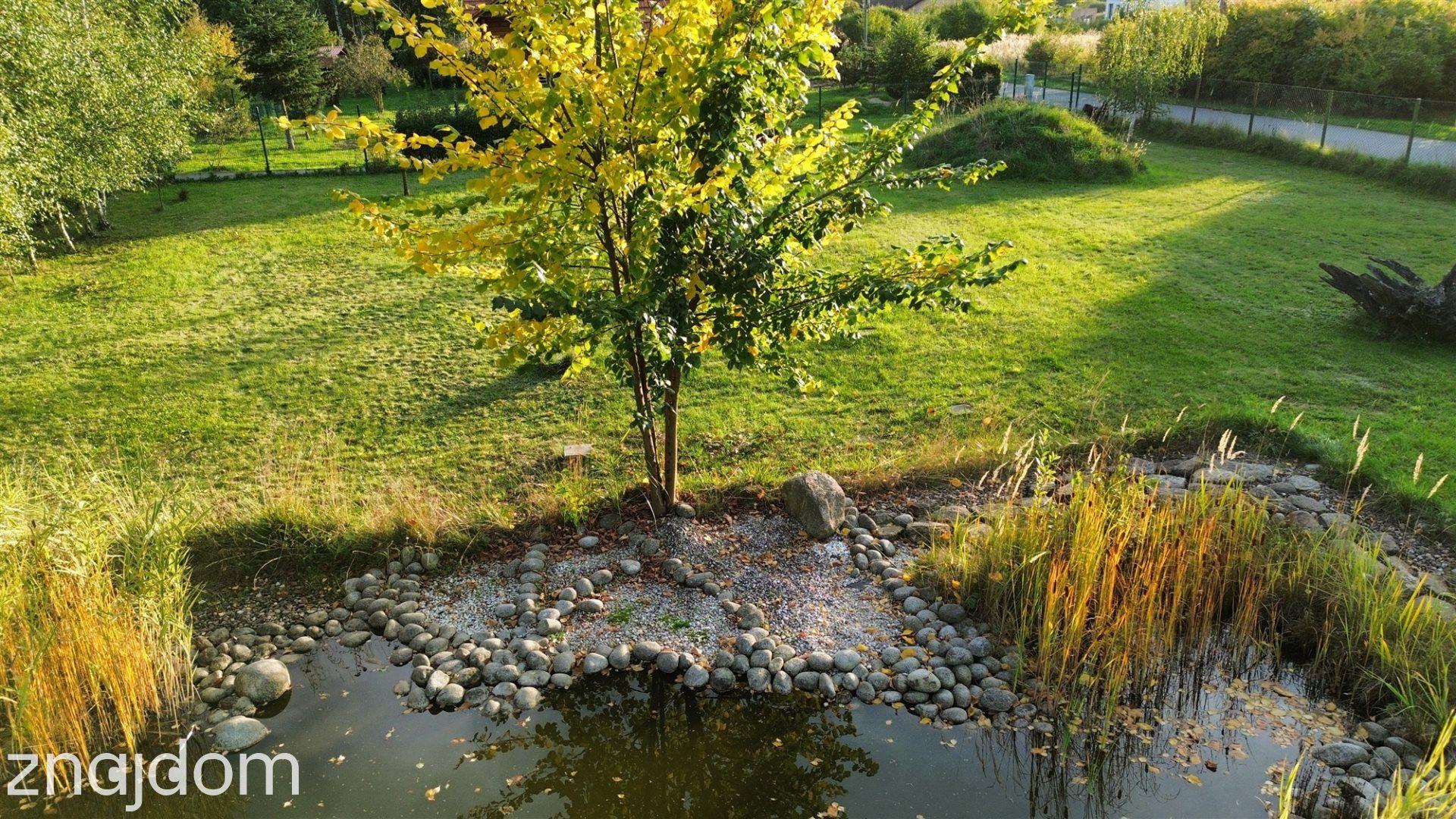Działka 1015 m² z pięknym oczkiem wodnym- Kotowice - zdjęcie 7