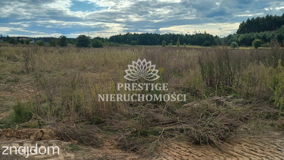 DZIAŁKA BUDOWLANA W KRUSZYNIE - 1159 m² - zdjęcie 5