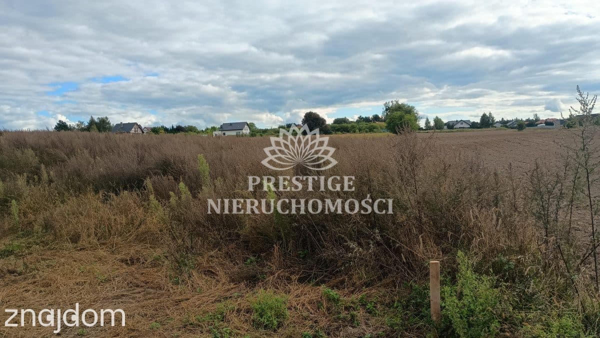 DZIAŁKA BUDOWLANA W KRUSZYNIE - 1159 m² - zdjęcie 6