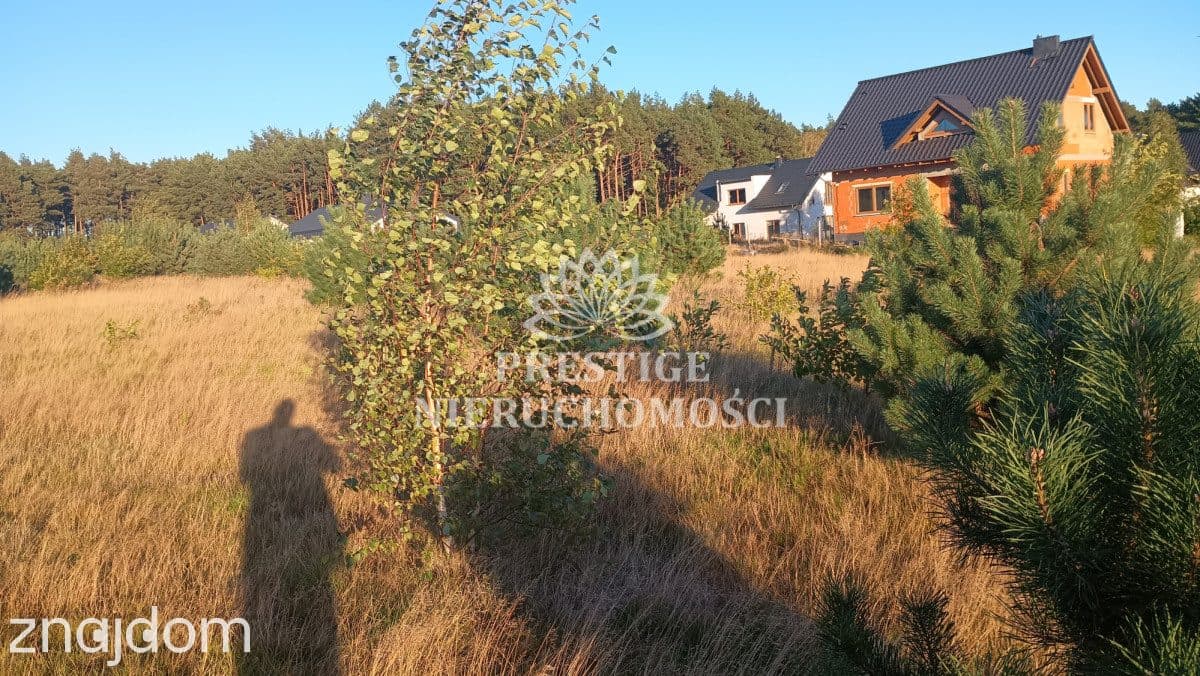 Działki budowlane pod lasem - Osówiec - zdjęcie 2