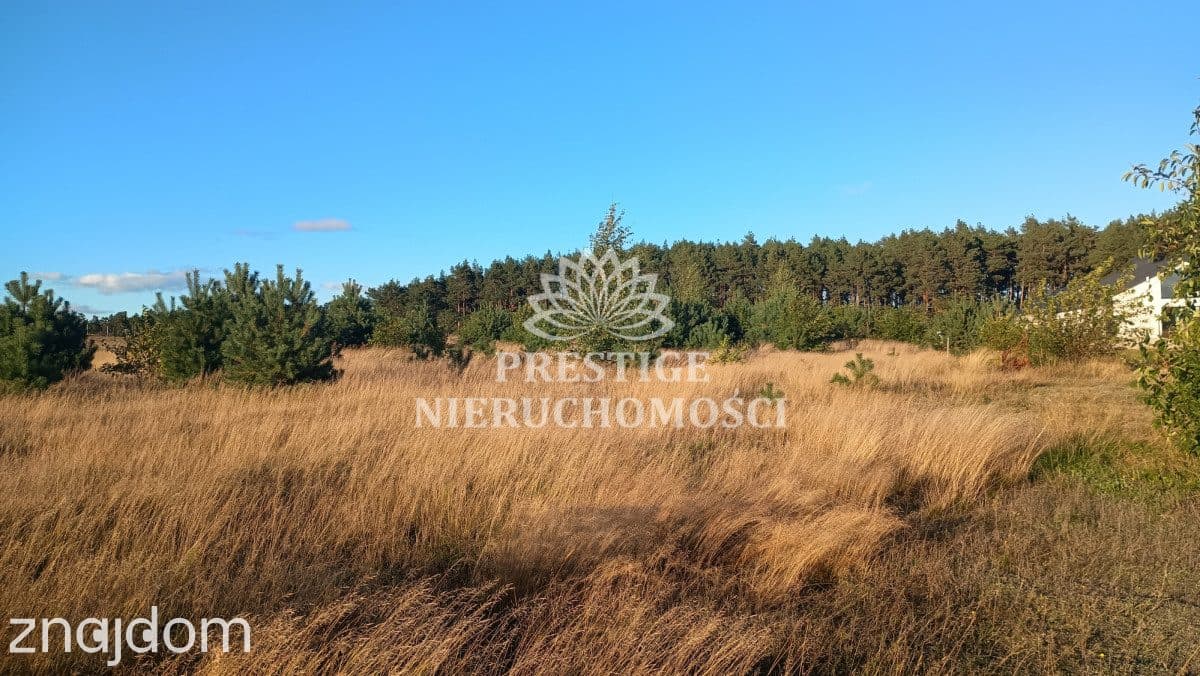 Działki budowlane pod lasem - Osówiec