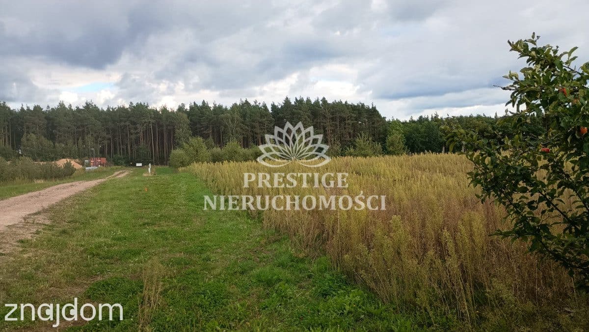 Dom z ogrodem i tarasami z widokiem na las - zdjęcie 16
