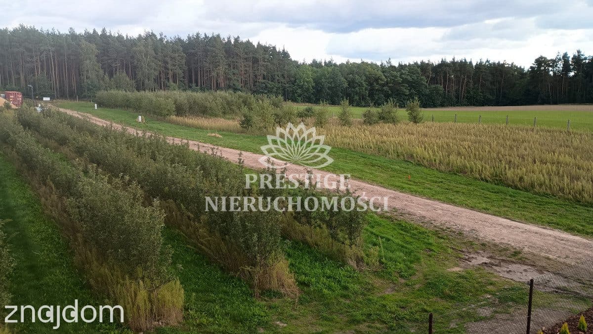 Działki budowlane przy lesie z sadem – Szczutki - zdjęcie 3