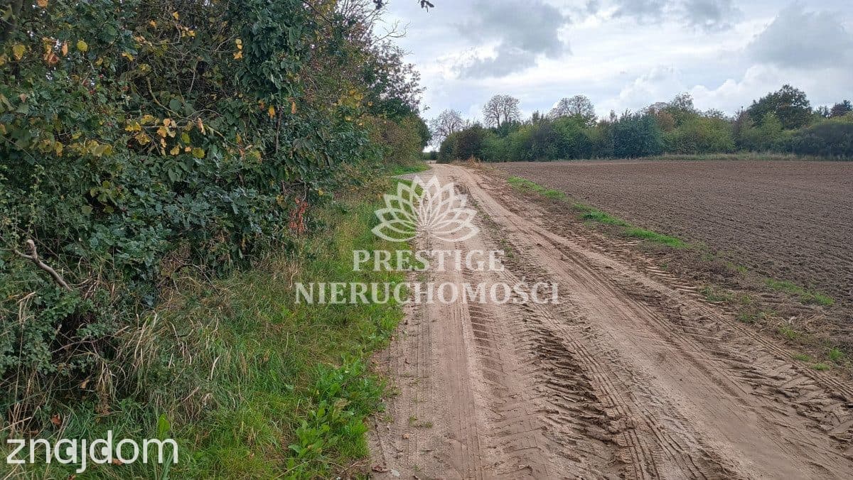 Działki budowlane w spokojnej okolicy - Mochle - zdjęcie 4