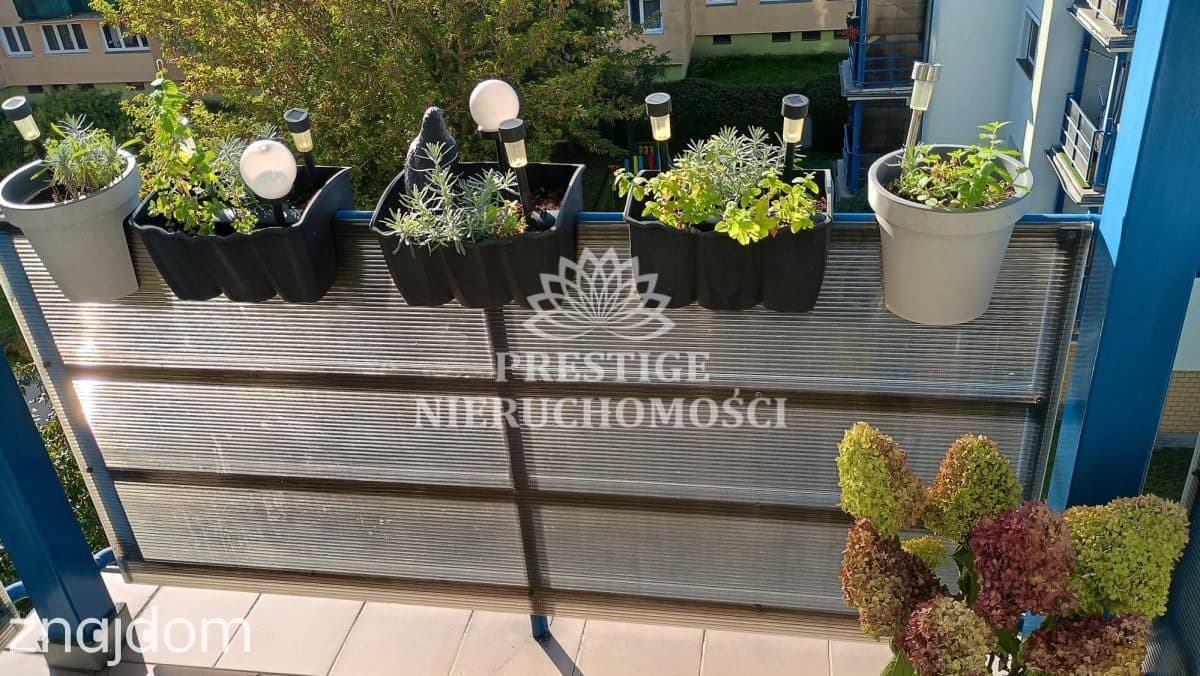 Przytulne urządzone mieszkanie z balkonem - zdjęcie 17