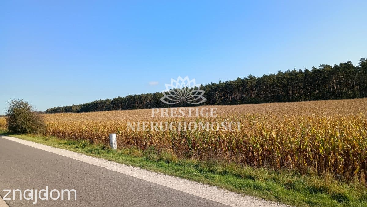 Działka budowlana - 922m2, Ojrzanowo, gm. Łabiszyn