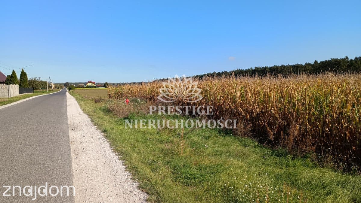 Działka budowlana - 922m2, Ojrzanowo, gm. Łabiszyn - zdjęcie 2