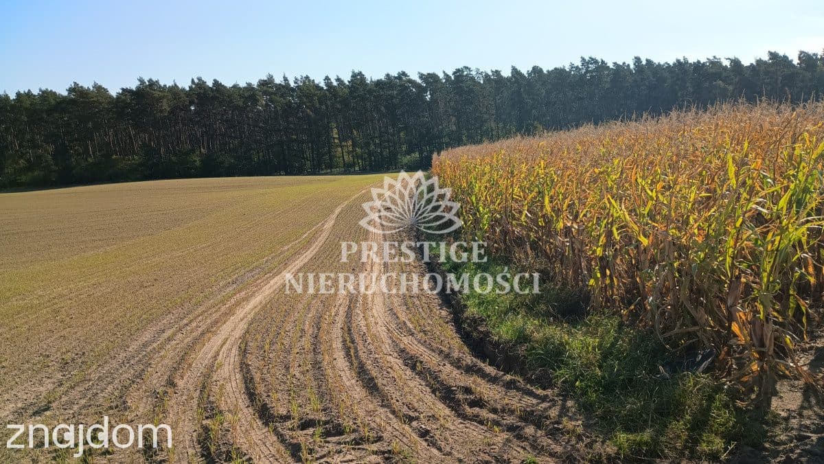 Działka budowlana - 922m2, Ojrzanowo, gm. Łabiszyn - zdjęcie 4
