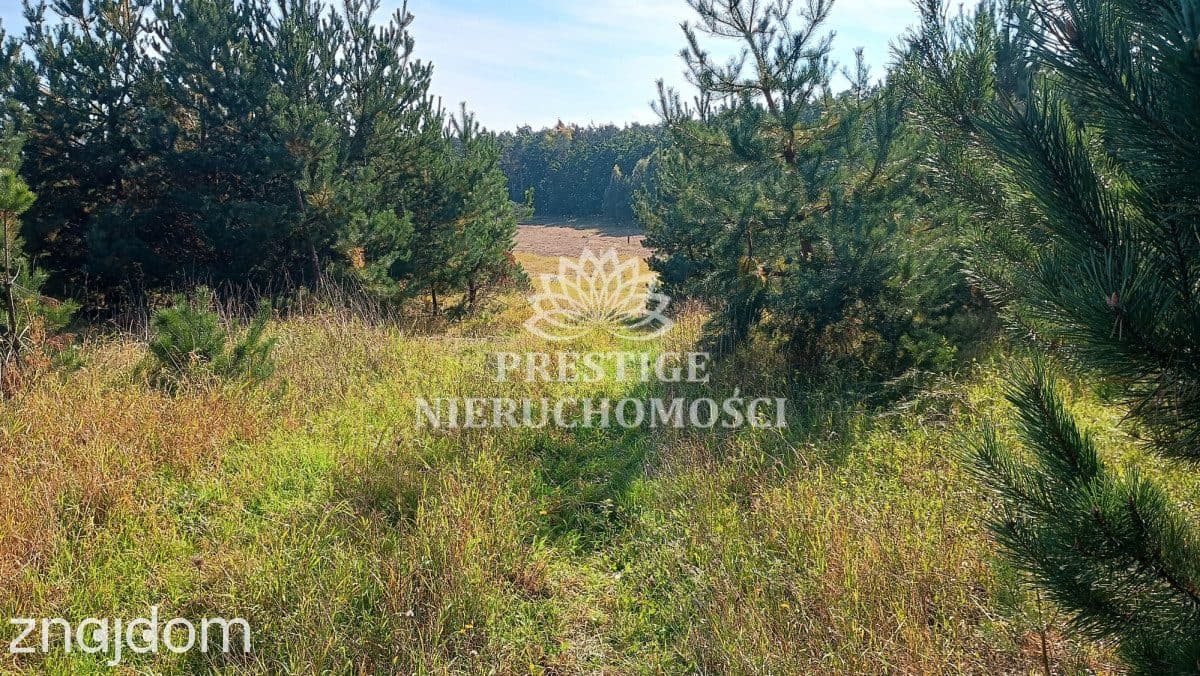 Działka budowlana – 994 m2, Oporówek, gm. Łabiszyn - zdjęcie 4