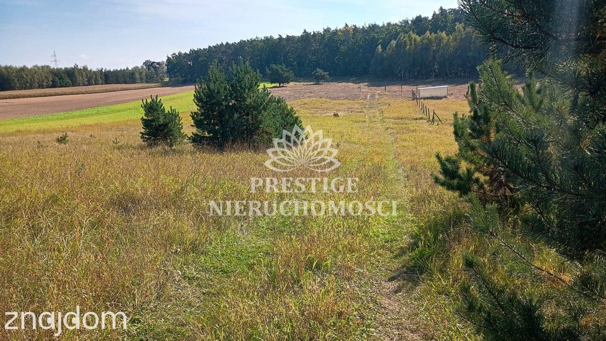 Działka budowlana – 994 m2, Oporówek, gm. Łabiszyn - zdjęcie 5