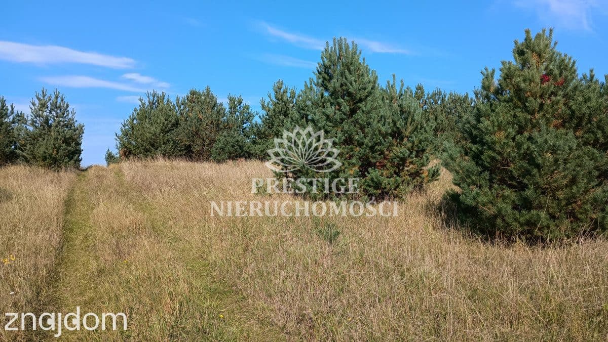 Działka budowlana – 994 m2, Oporówek, gm. Łabiszyn - zdjęcie 6