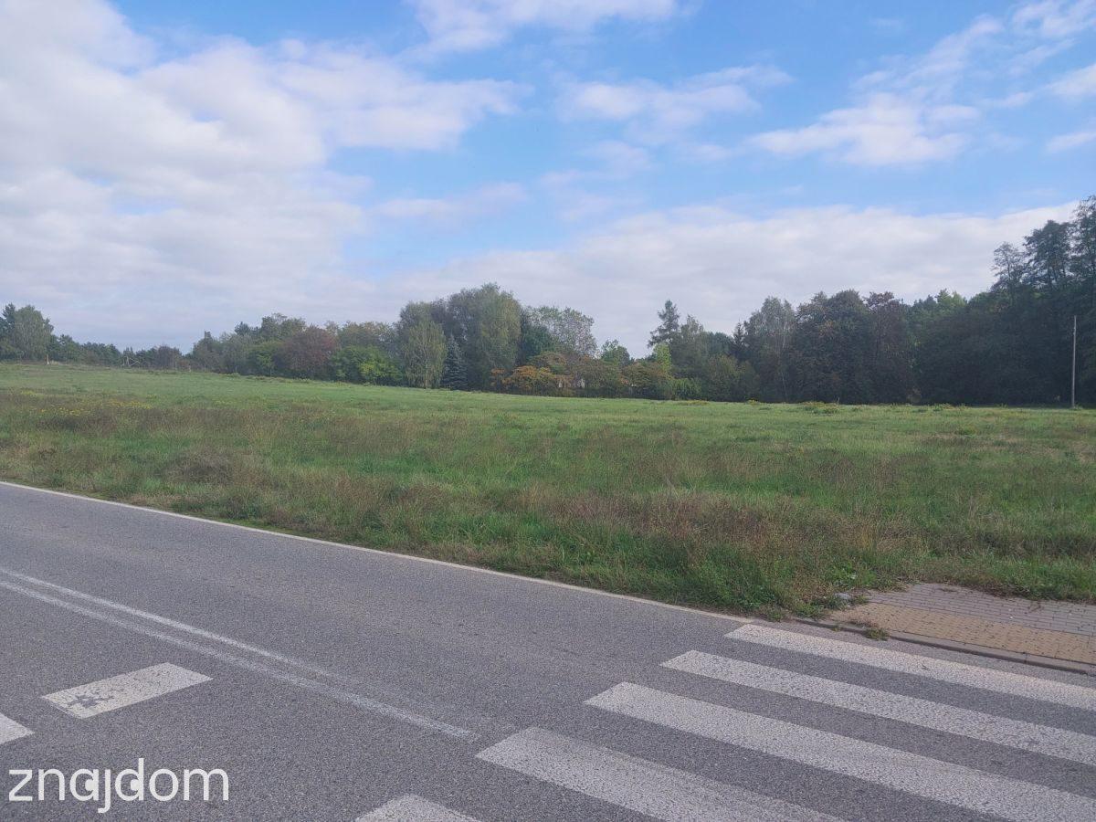 Działka inwestycyjna 1,7h - zdjęcie 2