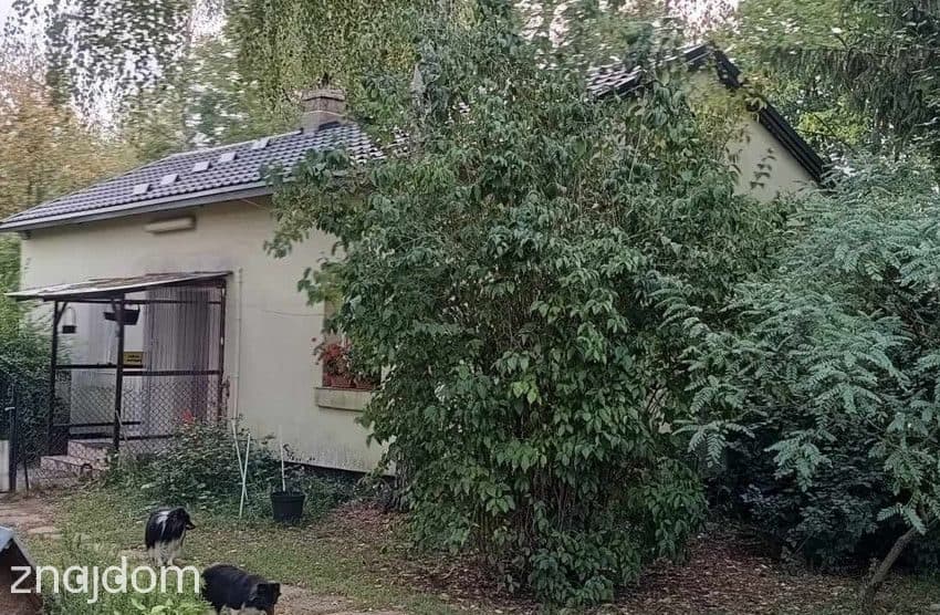 Siedlisko , Dwa domy 40 km od Warszawy - zdjęcie 12