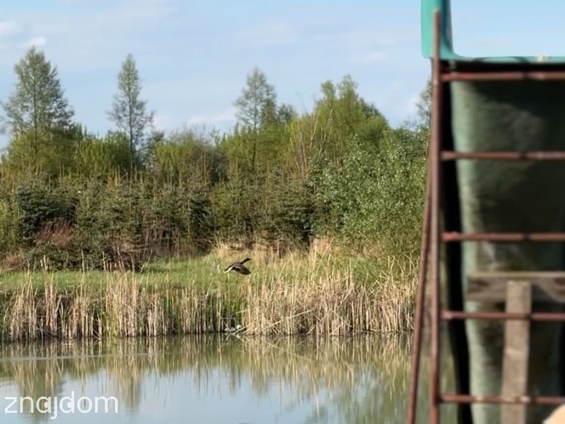Siedlisko z pięknym domem i własnym stawem - zdjęcie 4