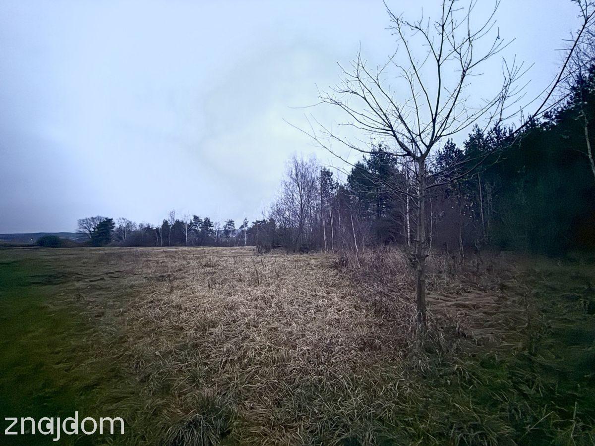 Okazja! Duża działka rolna w Borkowie 9802m2