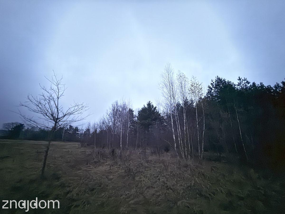 Okazja! Duża działka rolna w Borkowie 9802m2 - zdjęcie 2
