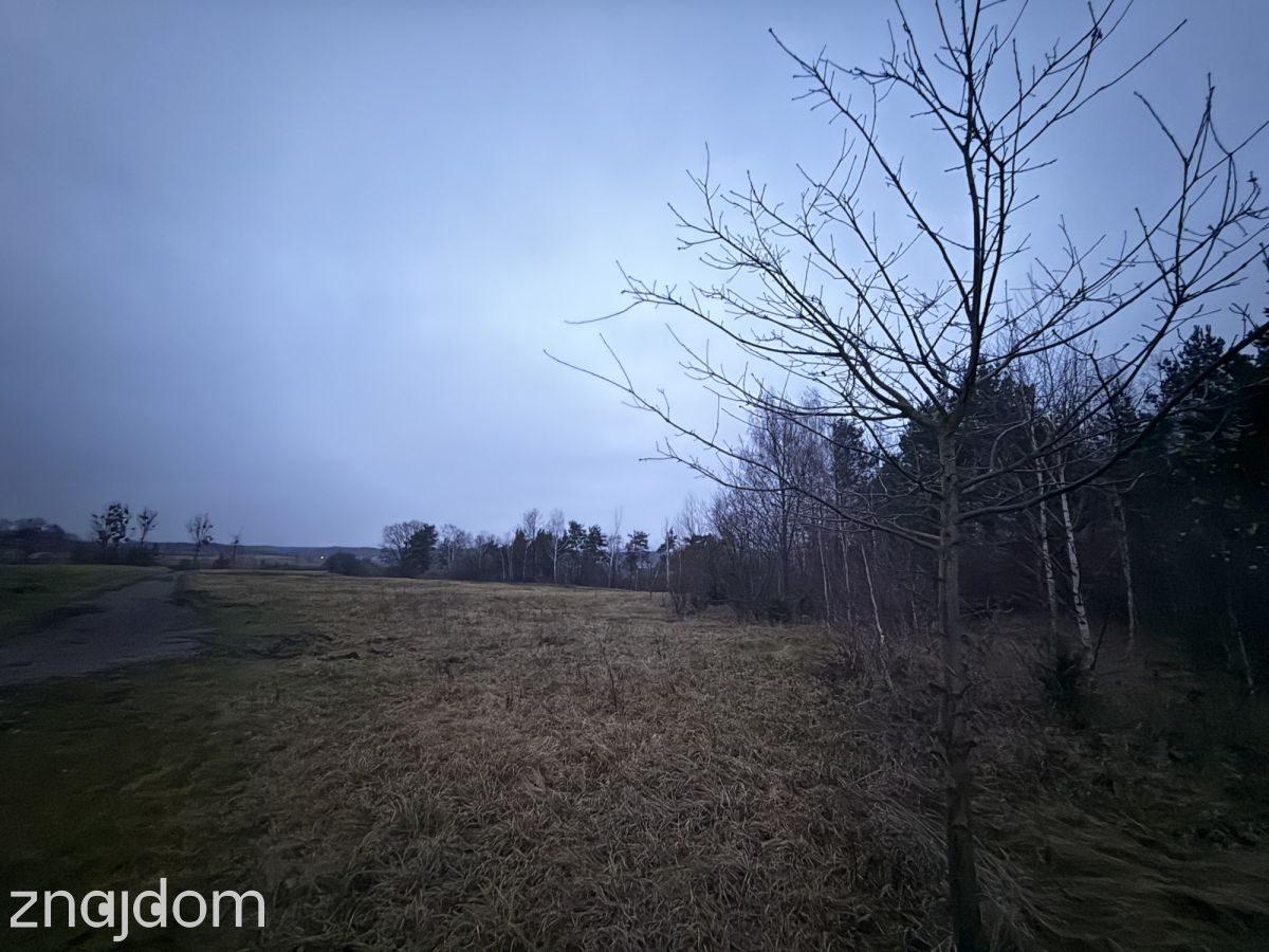 Okazja! Duża działka rolna w Borkowie 9802m2 - zdjęcie 3