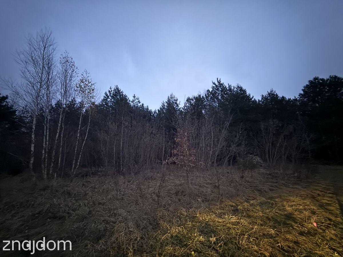 Okazja! Duża działka rolna w Borkowie 9802m2 - zdjęcie 5
