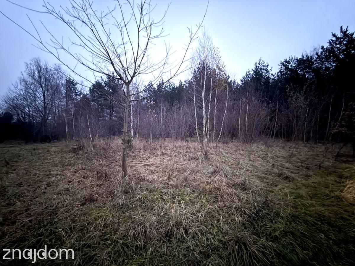Okazja! Duża działka rolna w Borkowie 9802m2 - zdjęcie 7