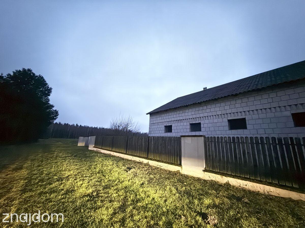 Okazja! Duża działka rolna w Borkowie 9802m2 - zdjęcie 8