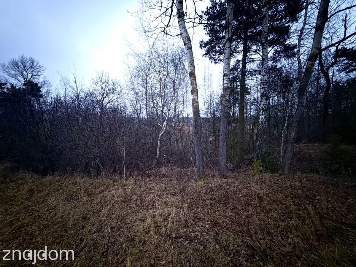 Okazja! Duża działka rolna w Borkowie 9802m2 - zdjęcie 9