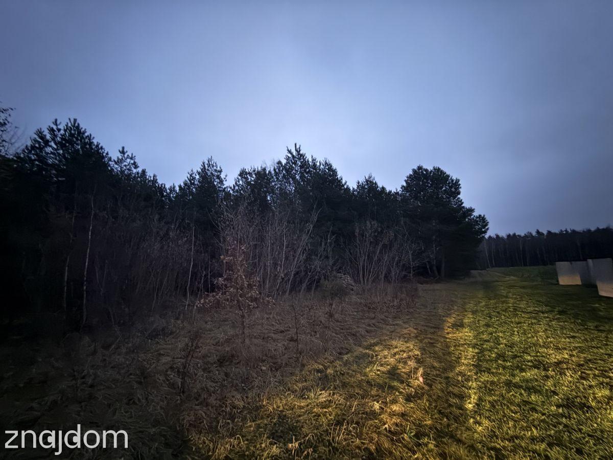 Okazja! Duża działka rolna w Borkowie 9802m2 - zdjęcie 10