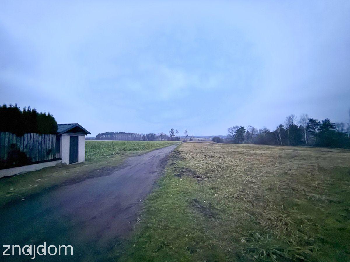 Okazja! Duża działka rolna w Borkowie 9802m2 - zdjęcie 11