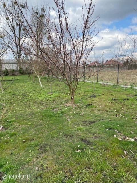 Działka siedliskowa 3082 m² – Koczargi Nowe - zdjęcie 6