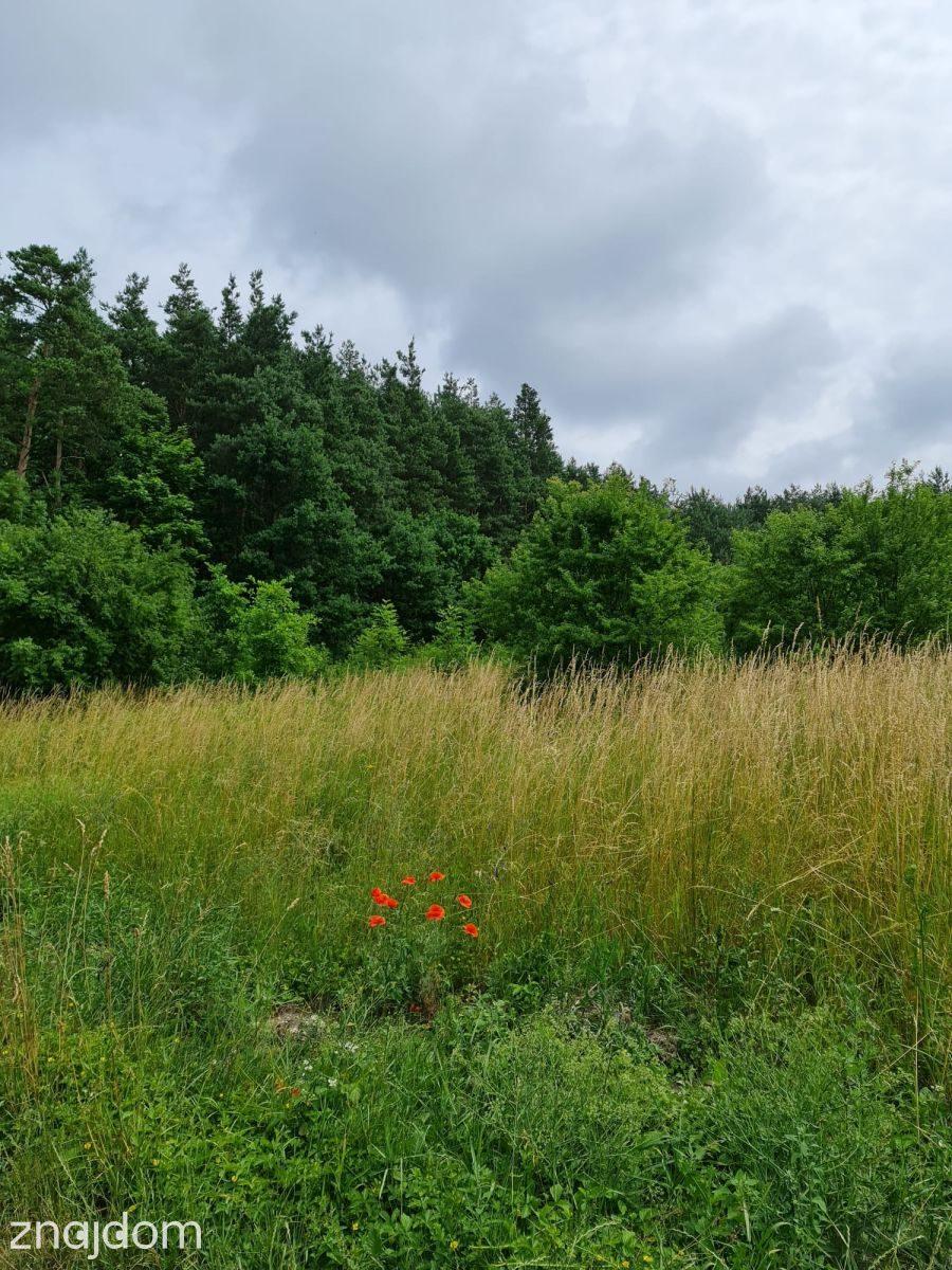 Działka budowlana | Oleszno | 1,04ha - zdjęcie 5