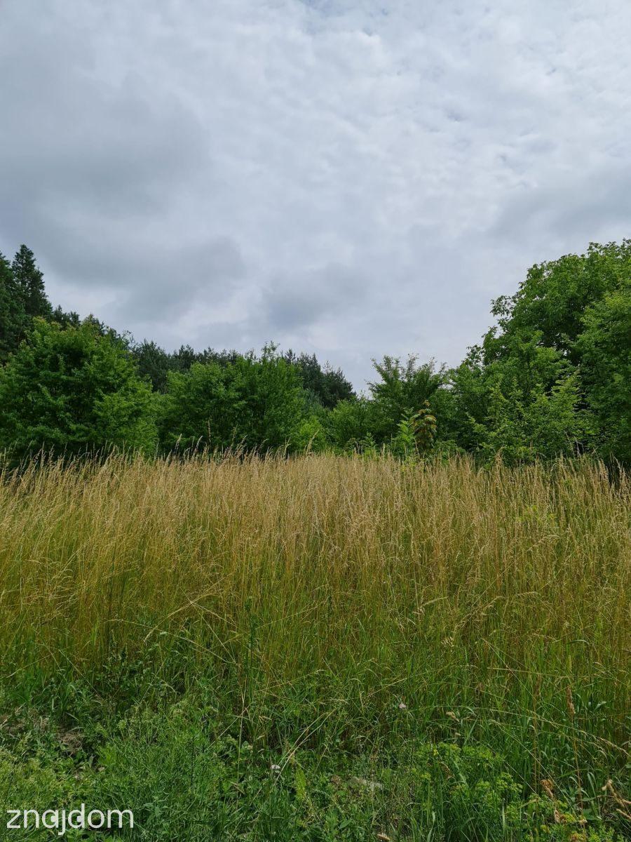 Działka budowlana | Oleszno | 1,04ha - zdjęcie 6