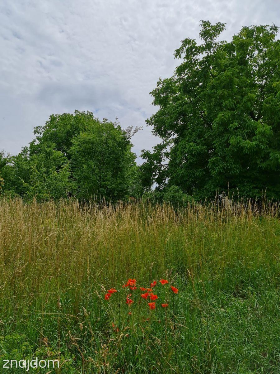 Działka budowlana | Oleszno | 1,04ha - zdjęcie 7
