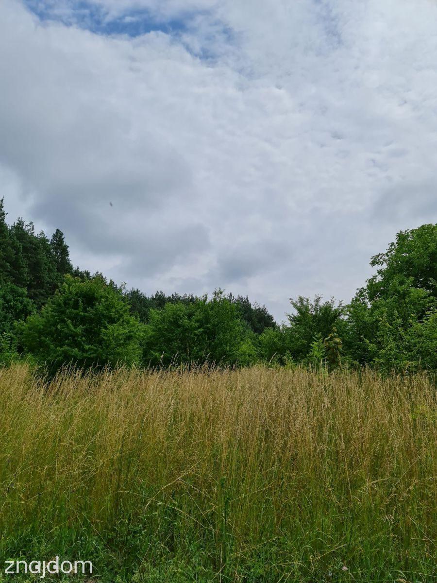 Działka budowlana | Oleszno | 1,04ha - zdjęcie 8