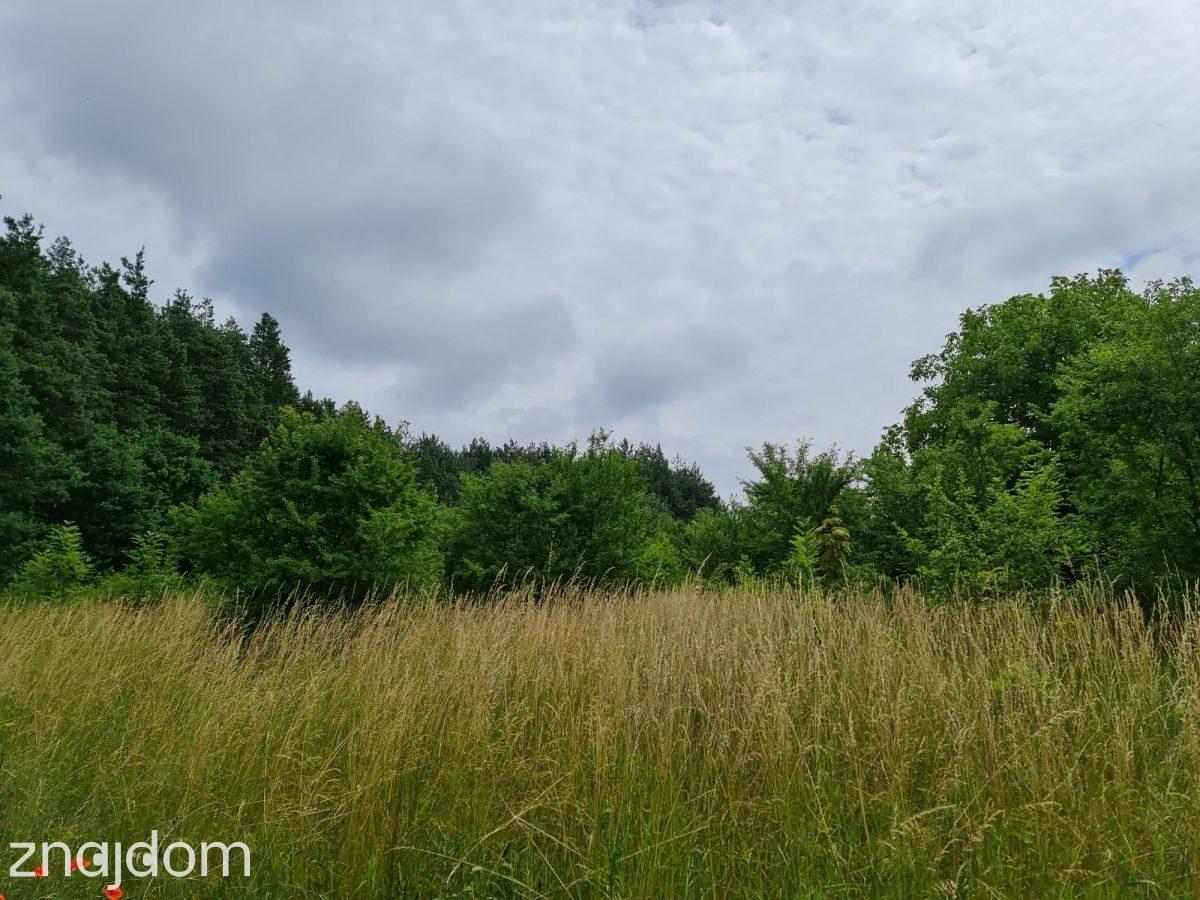 Działka budowlana | Oleszno | 1,04ha - zdjęcie 9