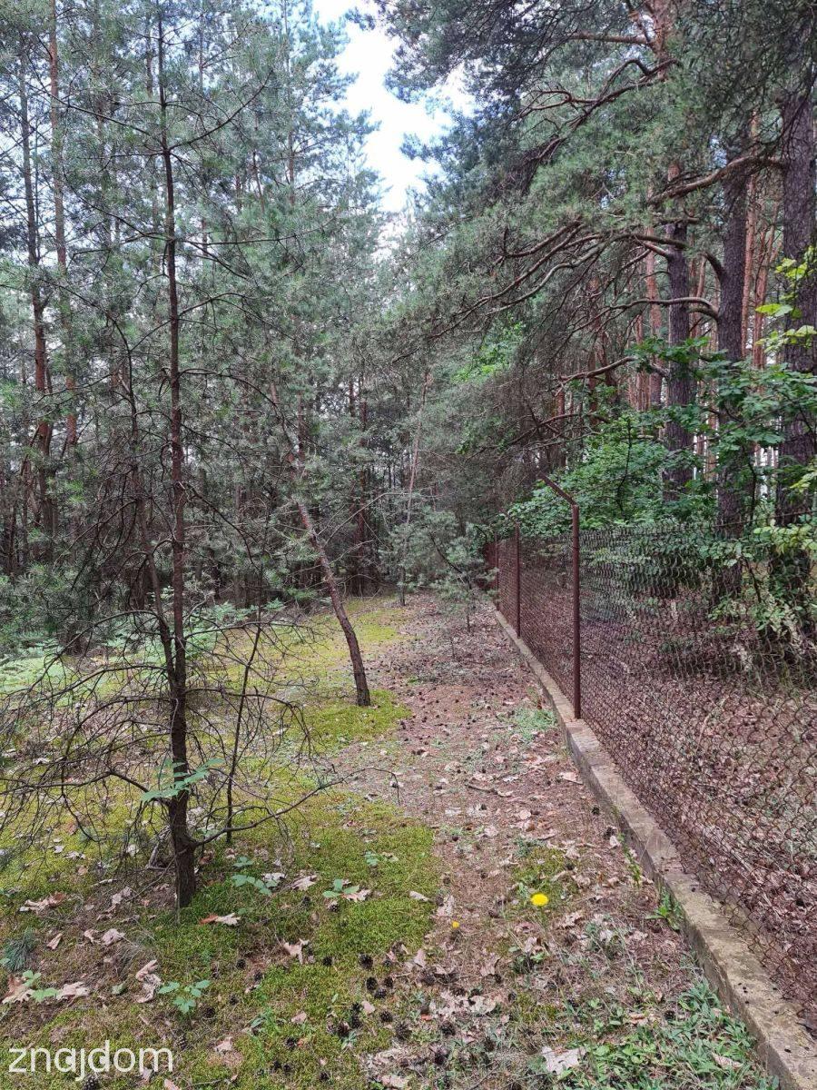 Działka budowlana | Oleszno | 1,04ha - zdjęcie 10