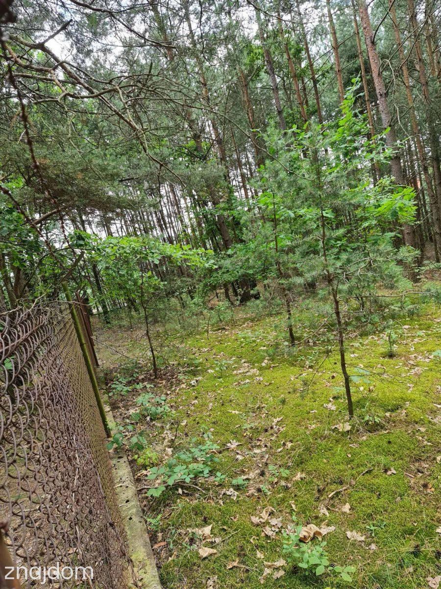 Działka budowlana | Oleszno | 1,04ha - zdjęcie 11
