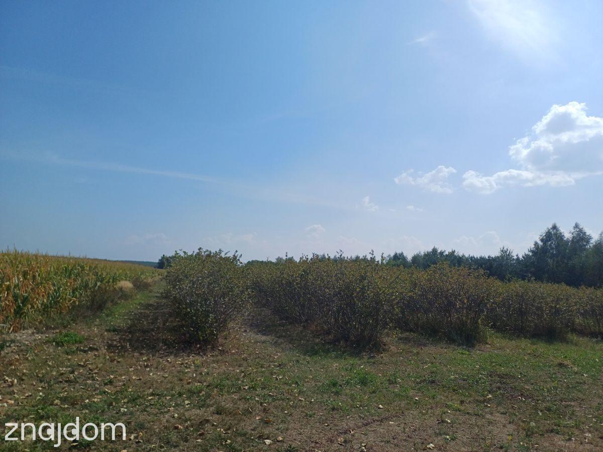Działka na sprzedaż 18 600m2