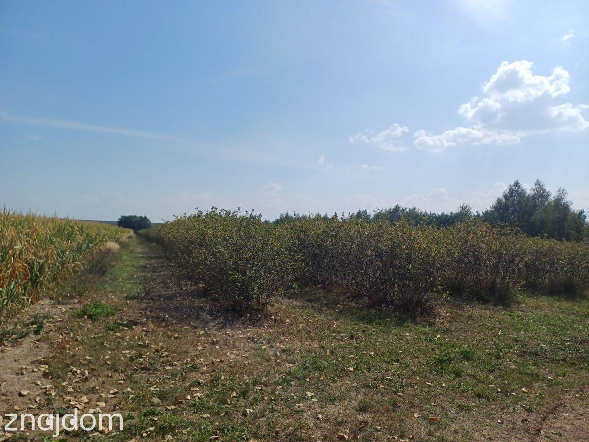 Działka na sprzedaż 18 600m2 - zdjęcie 2