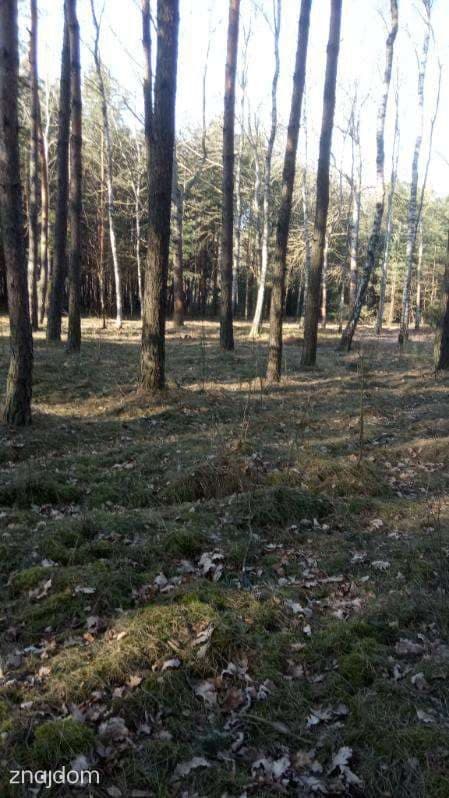 Działka na sprzedaż - zdjęcie 2