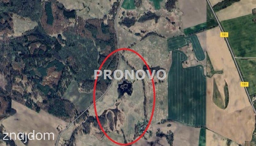 Działka rolna koło Węgorzyna - zdjęcie 5
