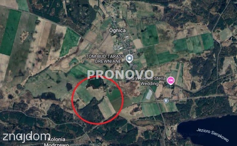 Działka rolna koło Dobrzan - zdjęcie 3