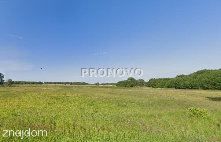 Działka rolna koło Dobrzan - zdjęcie 4