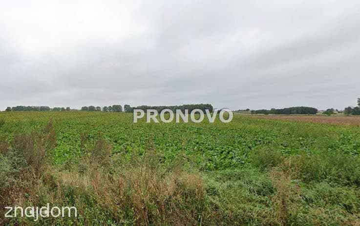 działki budowlane Bielice - zdjęcie 3